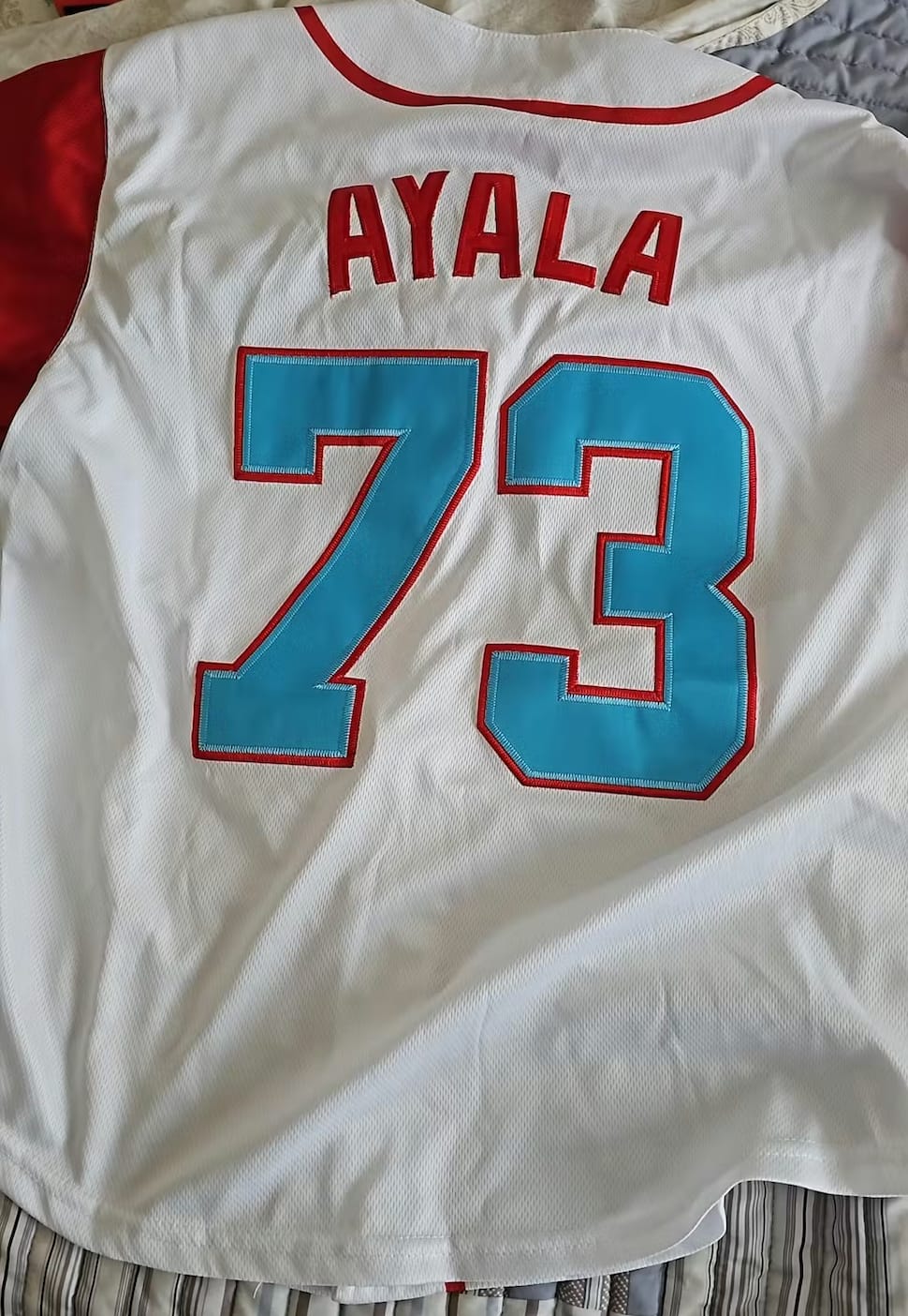 Customer photo review of Puerto Rico Heritage Custom Baseball Jersey