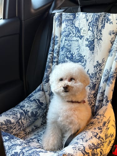 Customer photo review of Seggiolino Auto Panama Premium Toile de Jouy Blu Polvere