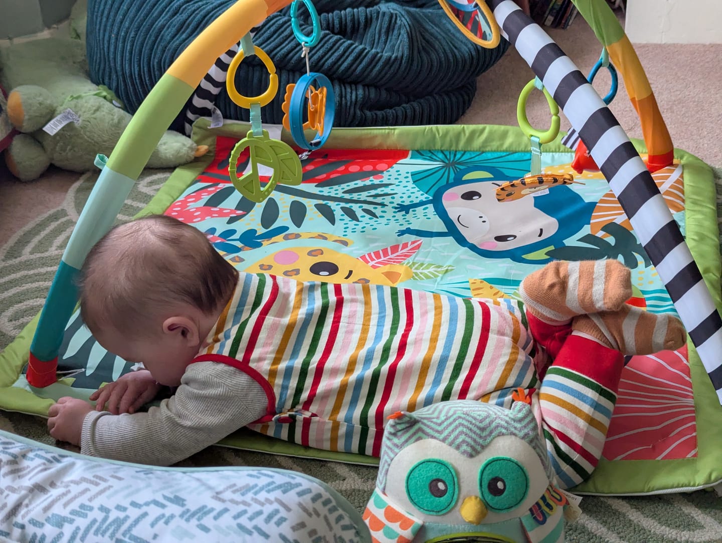 Customer photo review of Rainbow Striped Everyday Dungarees
