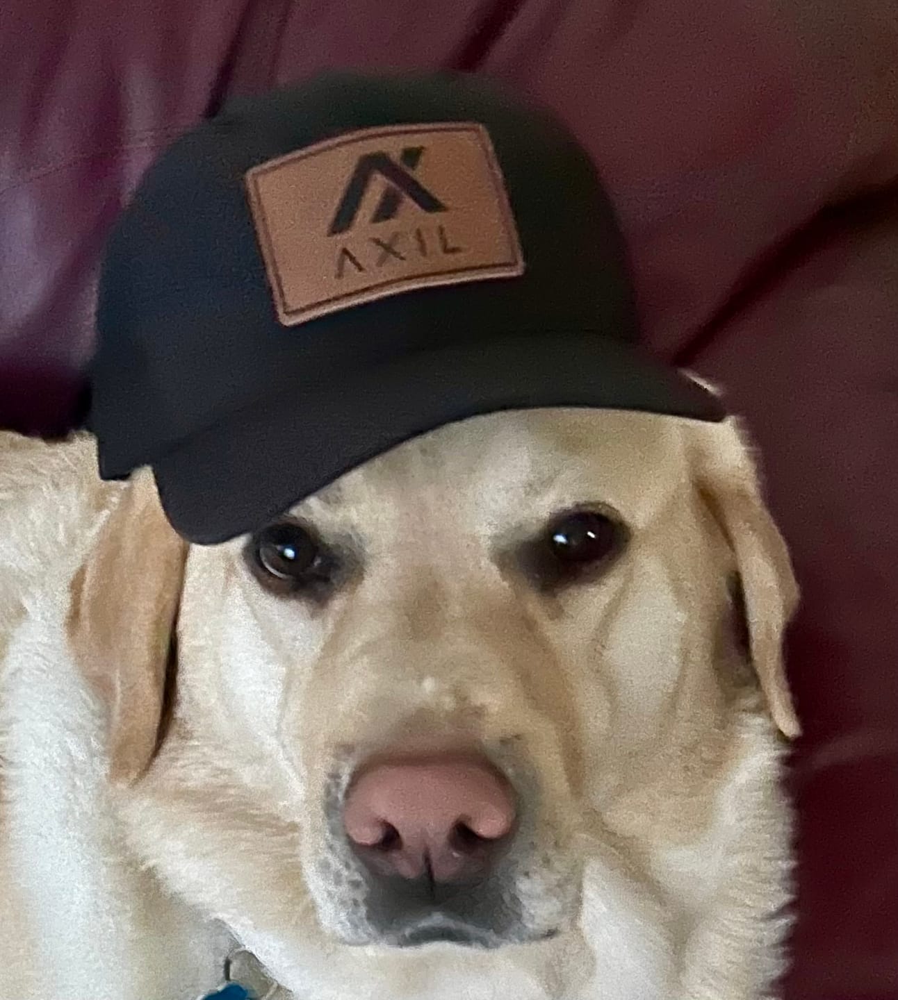 Customer photo review of AXIL HAT