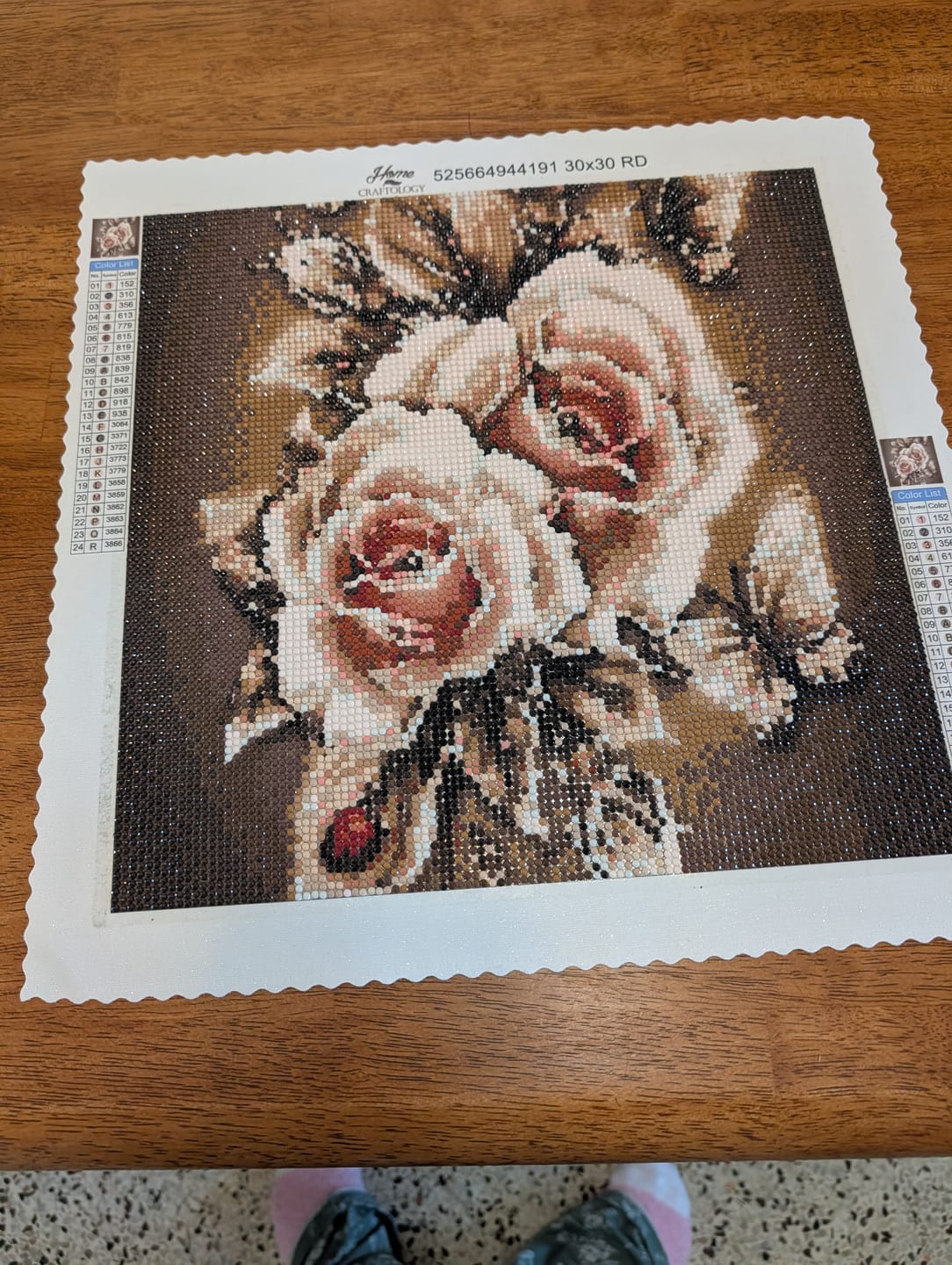 Customer photo review of Sepia Roses - Premium Diamond Painting Kit