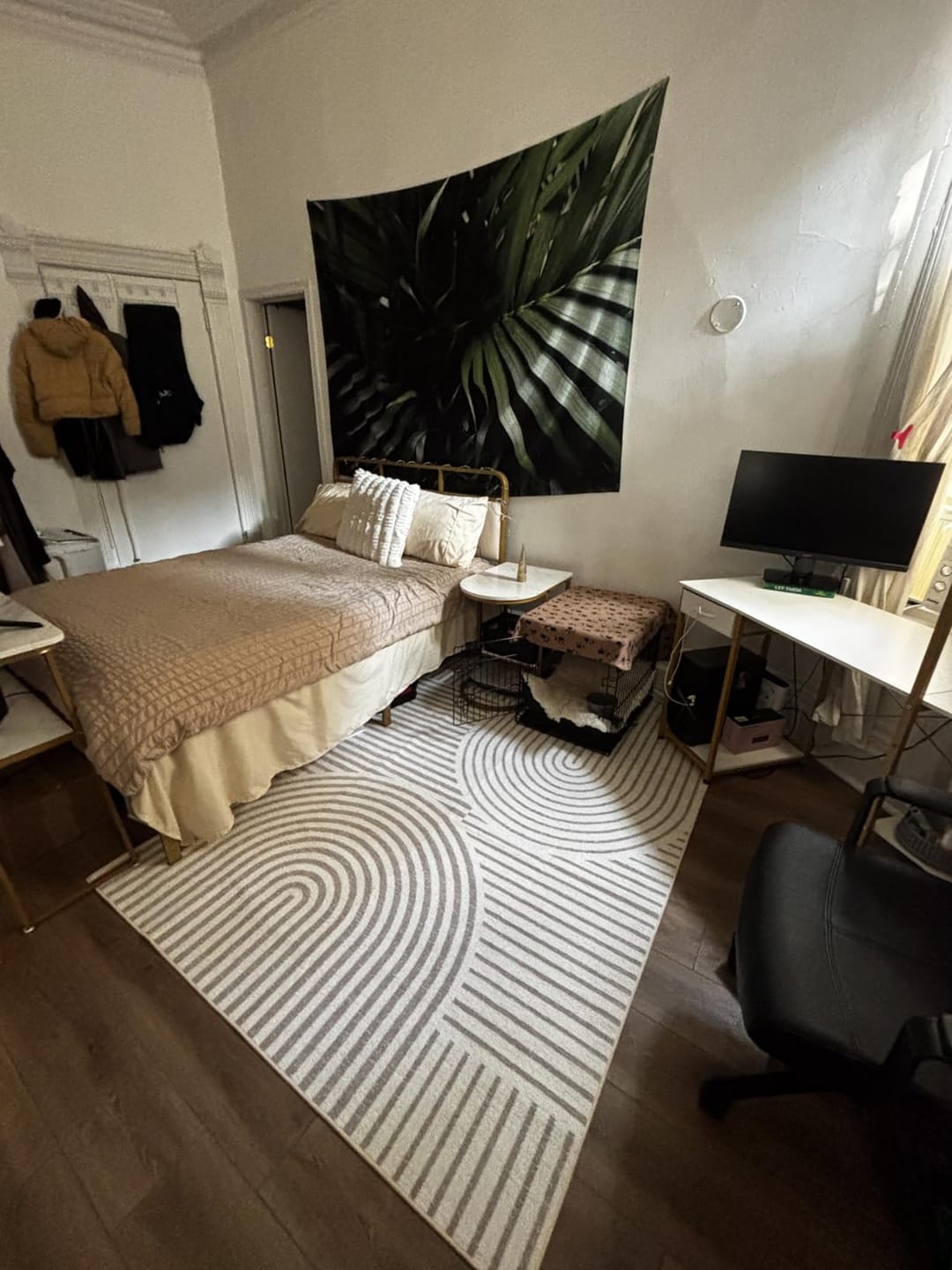 Customer photo review of Echo Washable Area Rug - Beige