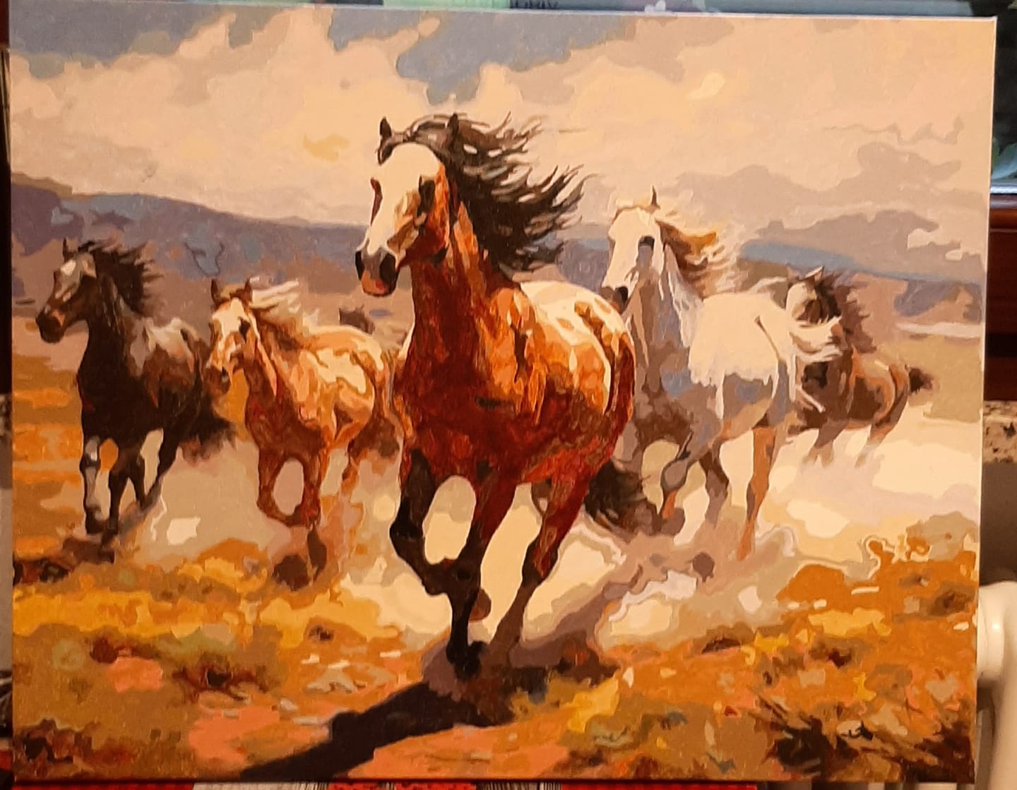 Customer photo review of Desert Horse Gallop