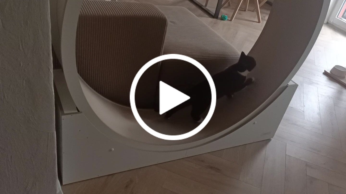 Customer video review of ELMATO Katzenlaufrad B-Ware & Neuwertig: Simba, Rocky WAND- & STAND-Modell