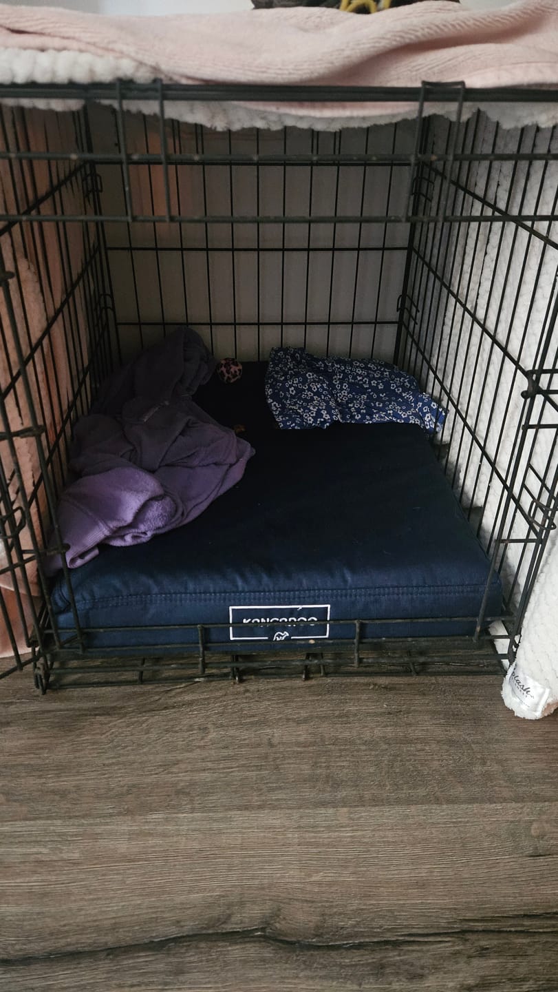 Customer photo review of Kangaroo Dog Crate Mat