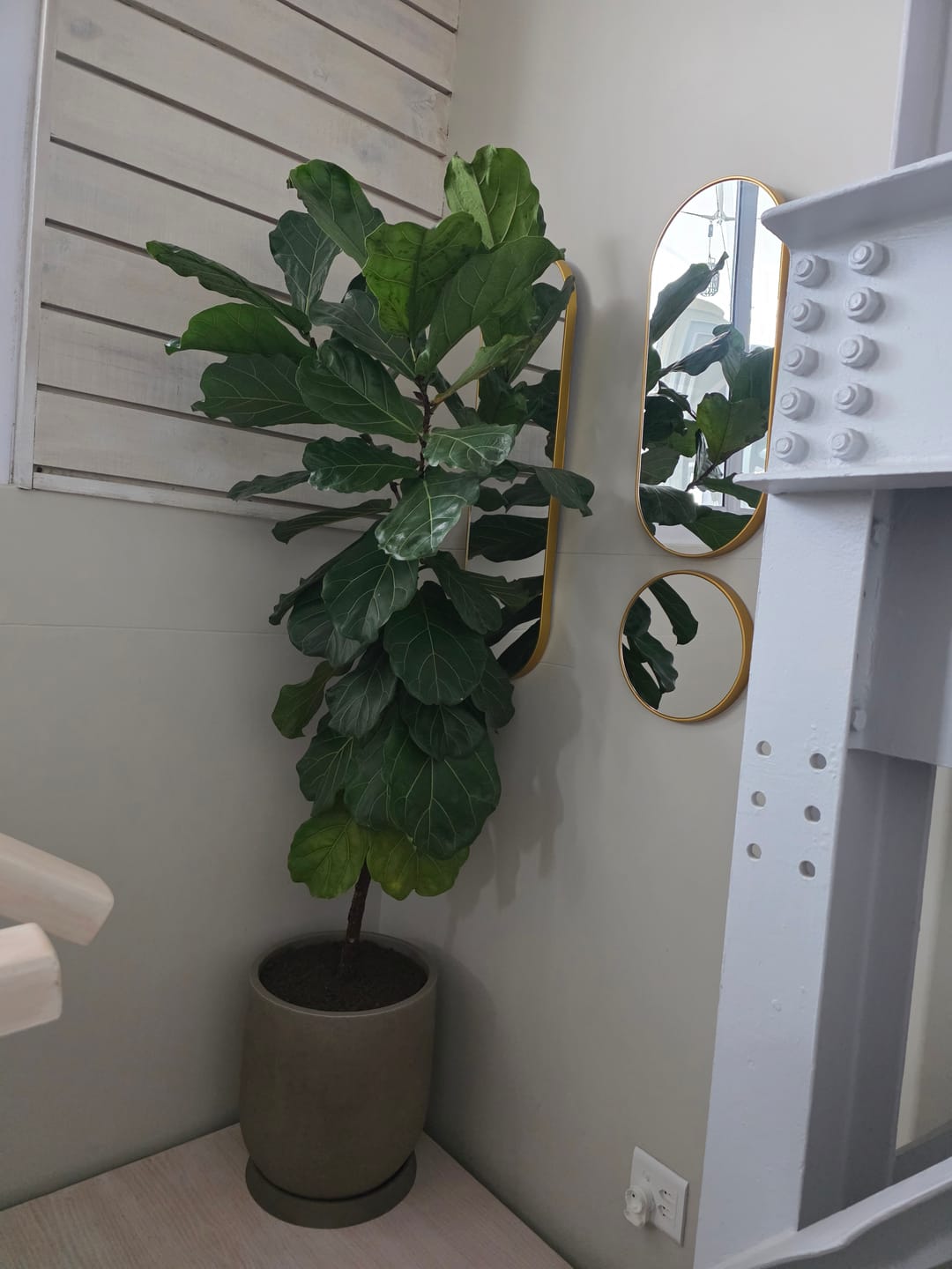 Customer photo review of Rustic Cask Japi Planter (click for details)