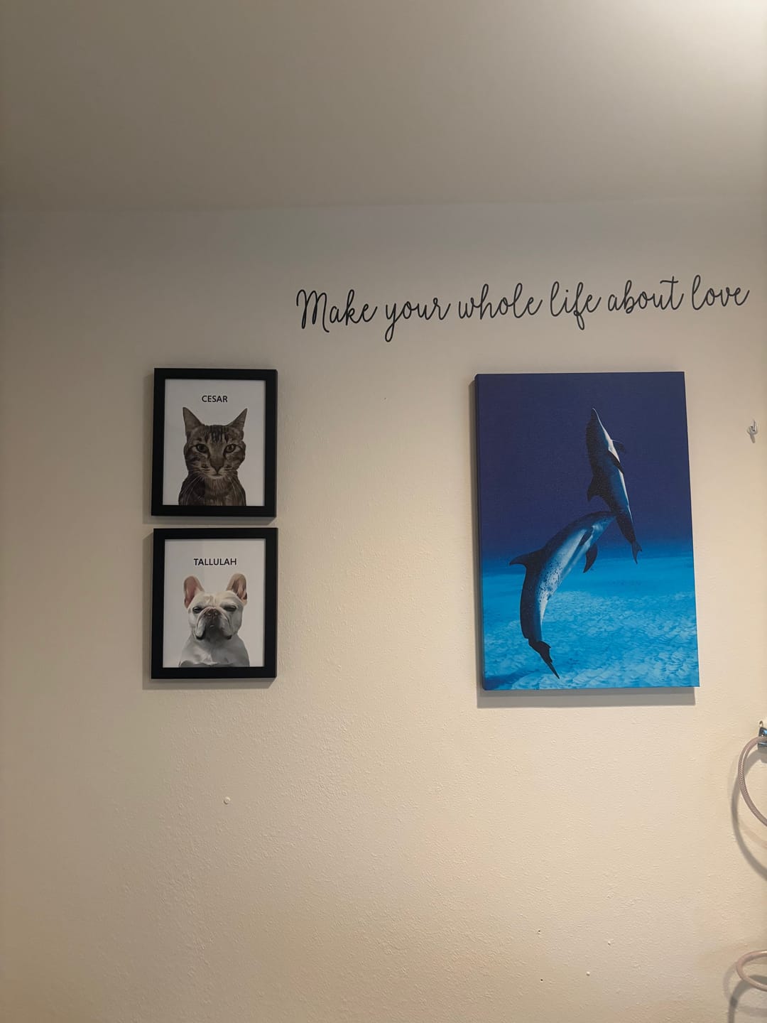 Customer photo review of Classic Framed Portrait - One Pet