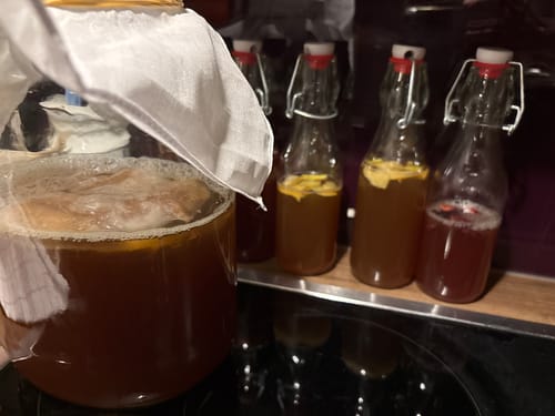 Customer photo review of BIO Kombucha Starter-Set