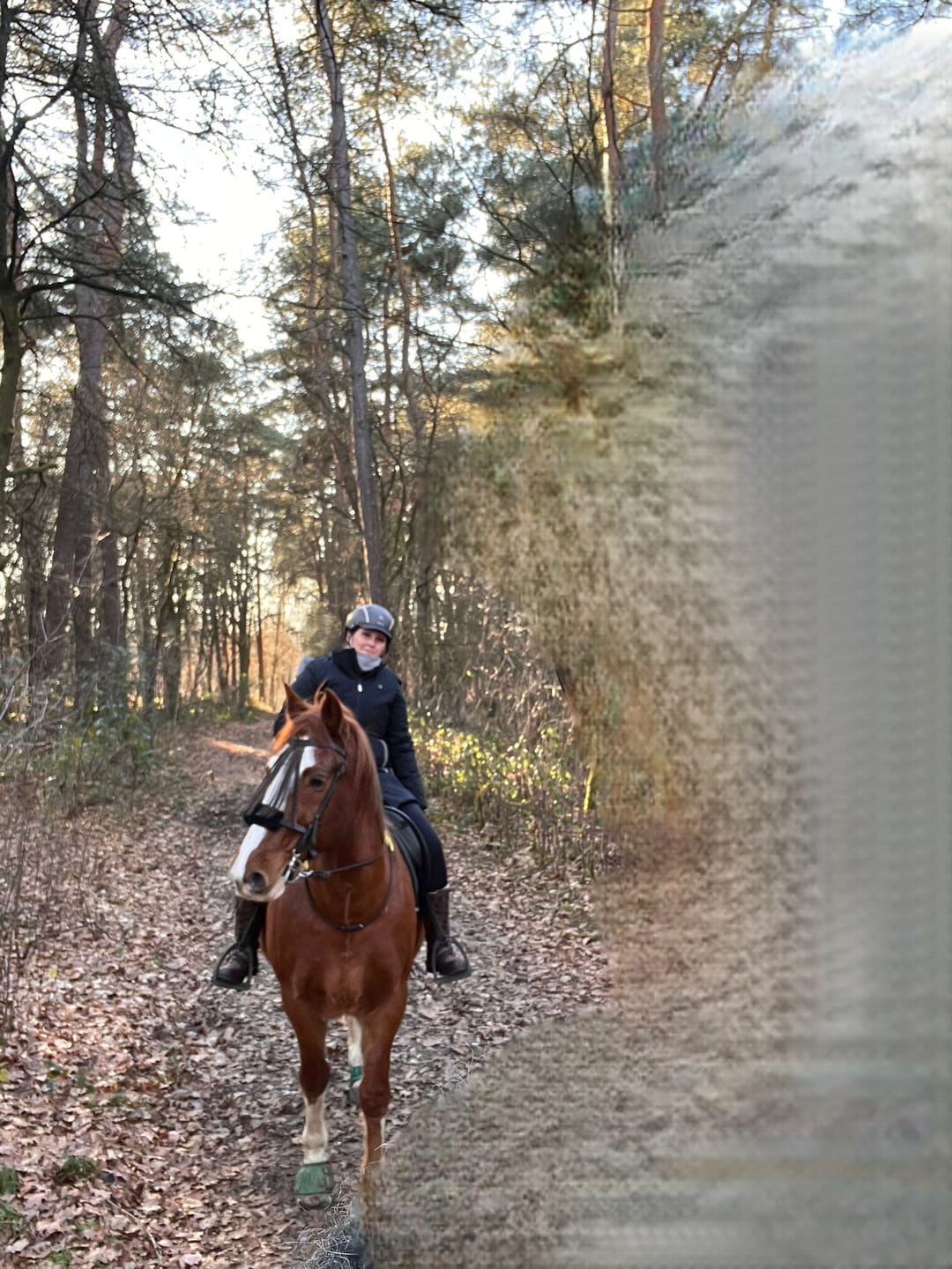 Customer photo review of Kristallkraft No1