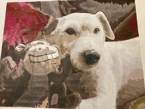 Customer photo review of Custom Pet Paint By Numbers