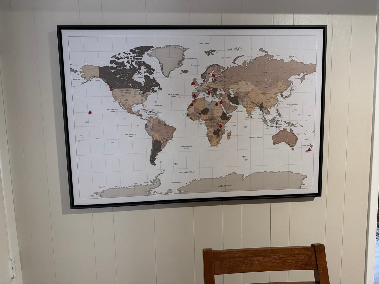 Customer photo review of Smart Pin World Map - Safari