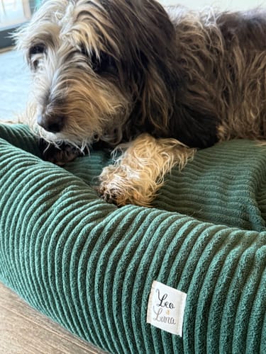 Customer photo review of Divanetto Velluto a Coste Verde