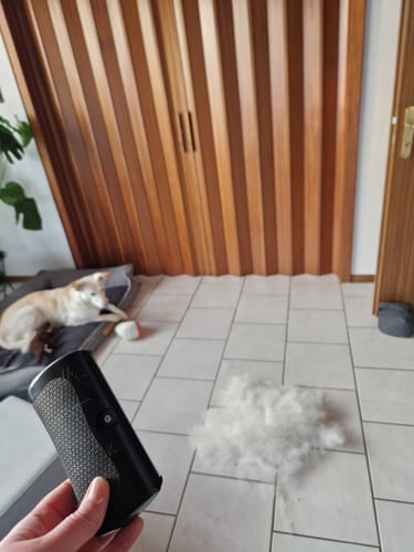 Rezensent hält die Fellwunder Bürste in der Hand, daneben liegt ein großer Haufen ausgekämmtes Fell auf dem Boden.