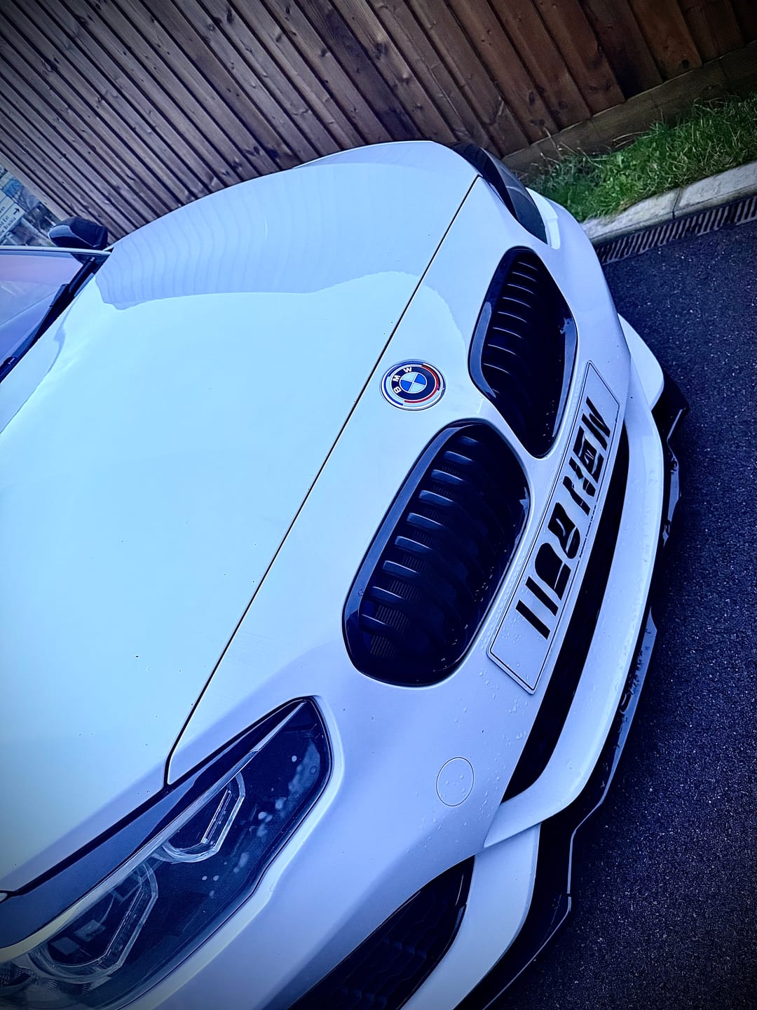 Customer photo review of BMW 50TH ANNIVERSARY EMBLEM BADGE