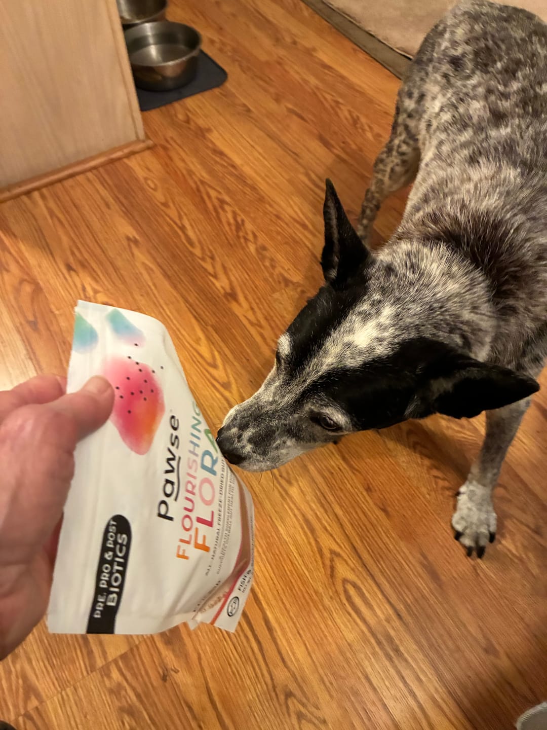 Customer photo review of Bark-Less Bites