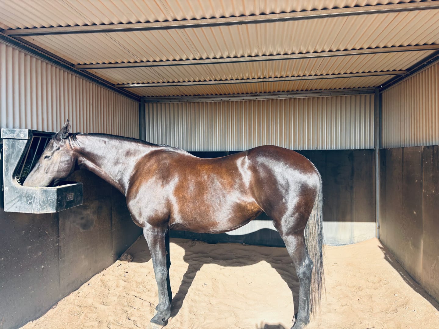 Customer photo review of Digestive EQ