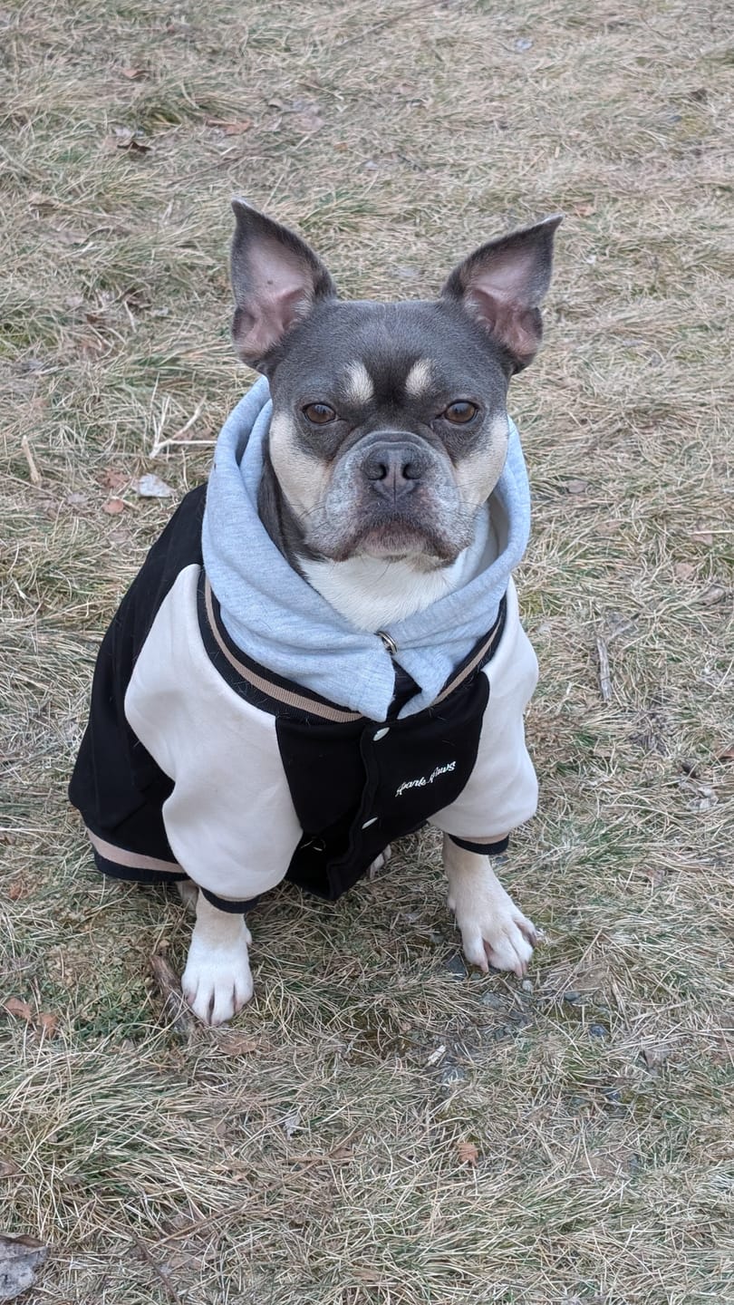Customer photo review of Dog Varsity Jacket - Black