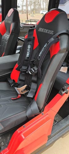 Customer photo review of Two Harness Pack Auto Buckle with Harness Collars