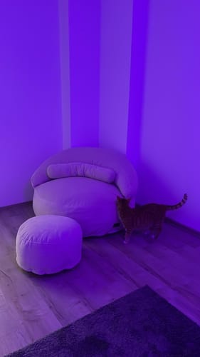 Customer photo review of Felix Puf Fildişi XL