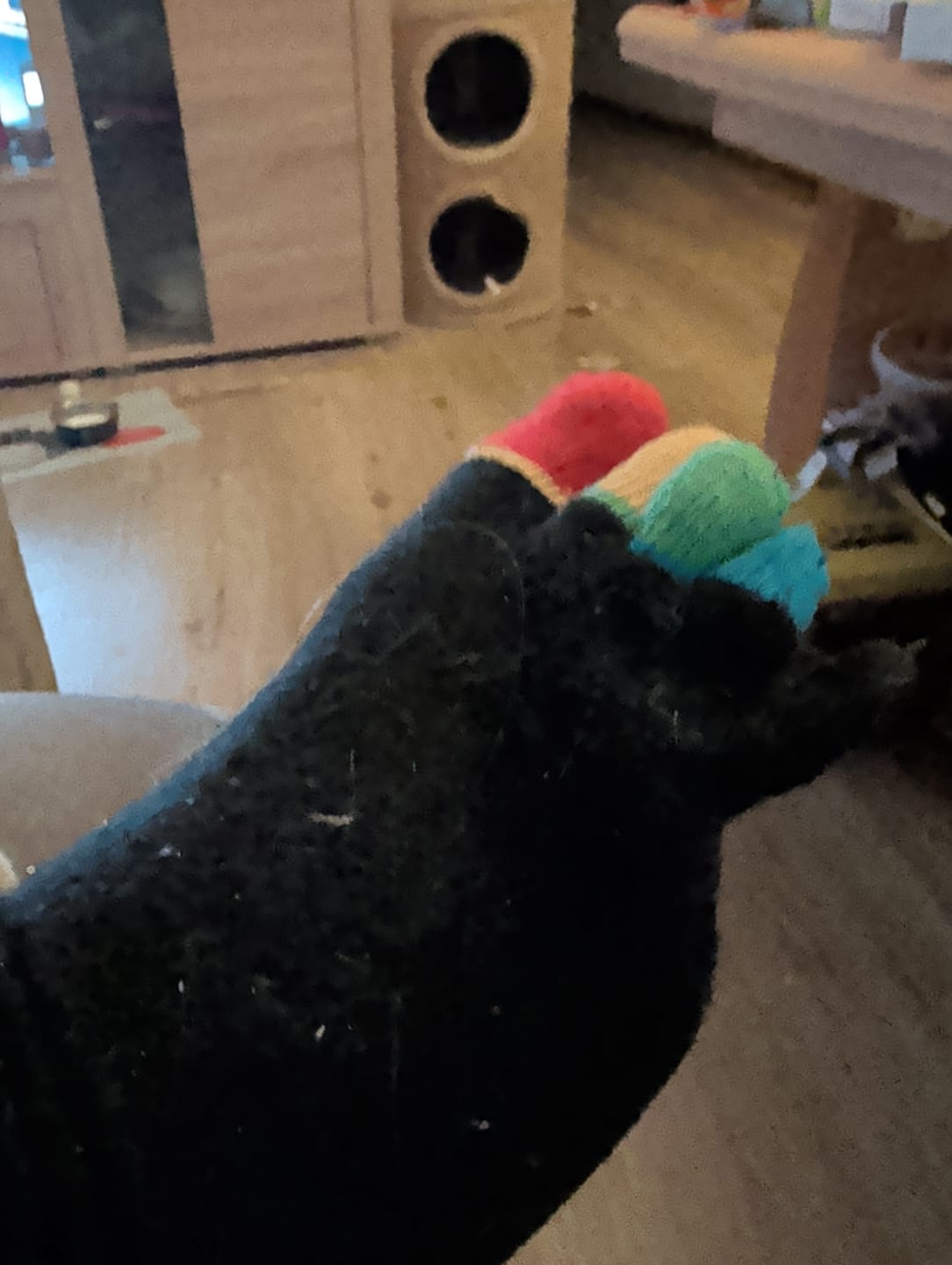 Customer photo review of 1 bis 10 Paar Zehen Socken Damen Herren Zehensocken Socken mit einzelnen bunten Zehen