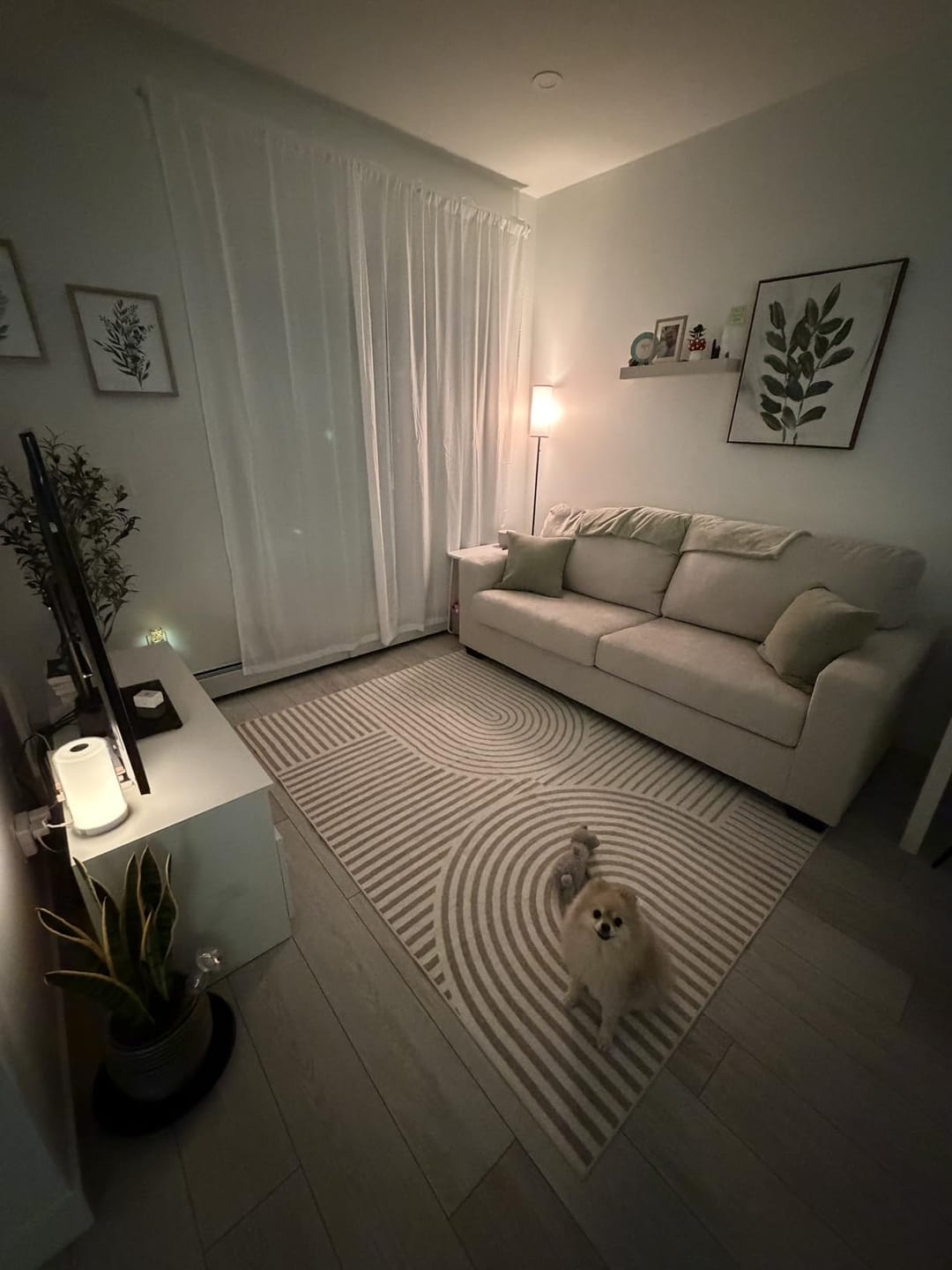 Customer photo review of Echo Washable Area Rug - Beige