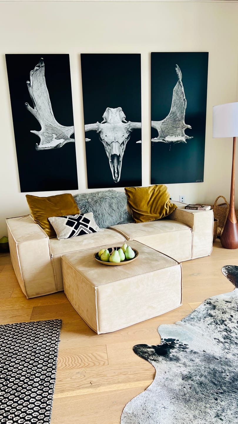 Customer photo review of M1 Sofa Loveseat