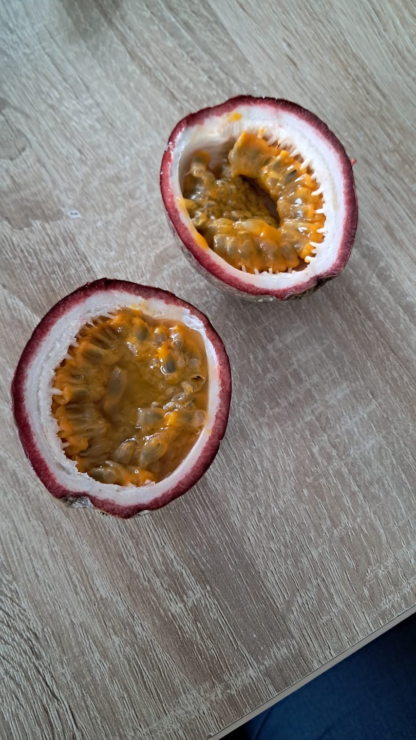 Customer photo review of "Passiflora Lovers" Maracuja-Mix Box