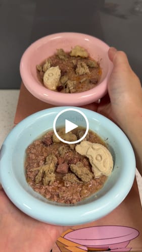 Customer video review of Michu Marshmallow Ceramic Cat Bowl – Anti-Whisker Fatigue Wide Shallow Design| Premium Cat Food Bowl