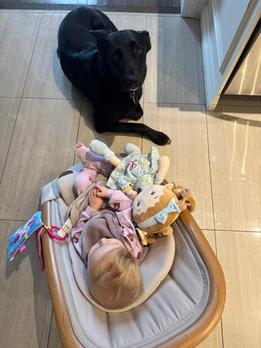 Customer's baby in a bouncer holding the Personalized Lily Girl & Her Pet doll, with a real black dog sitting nearby.