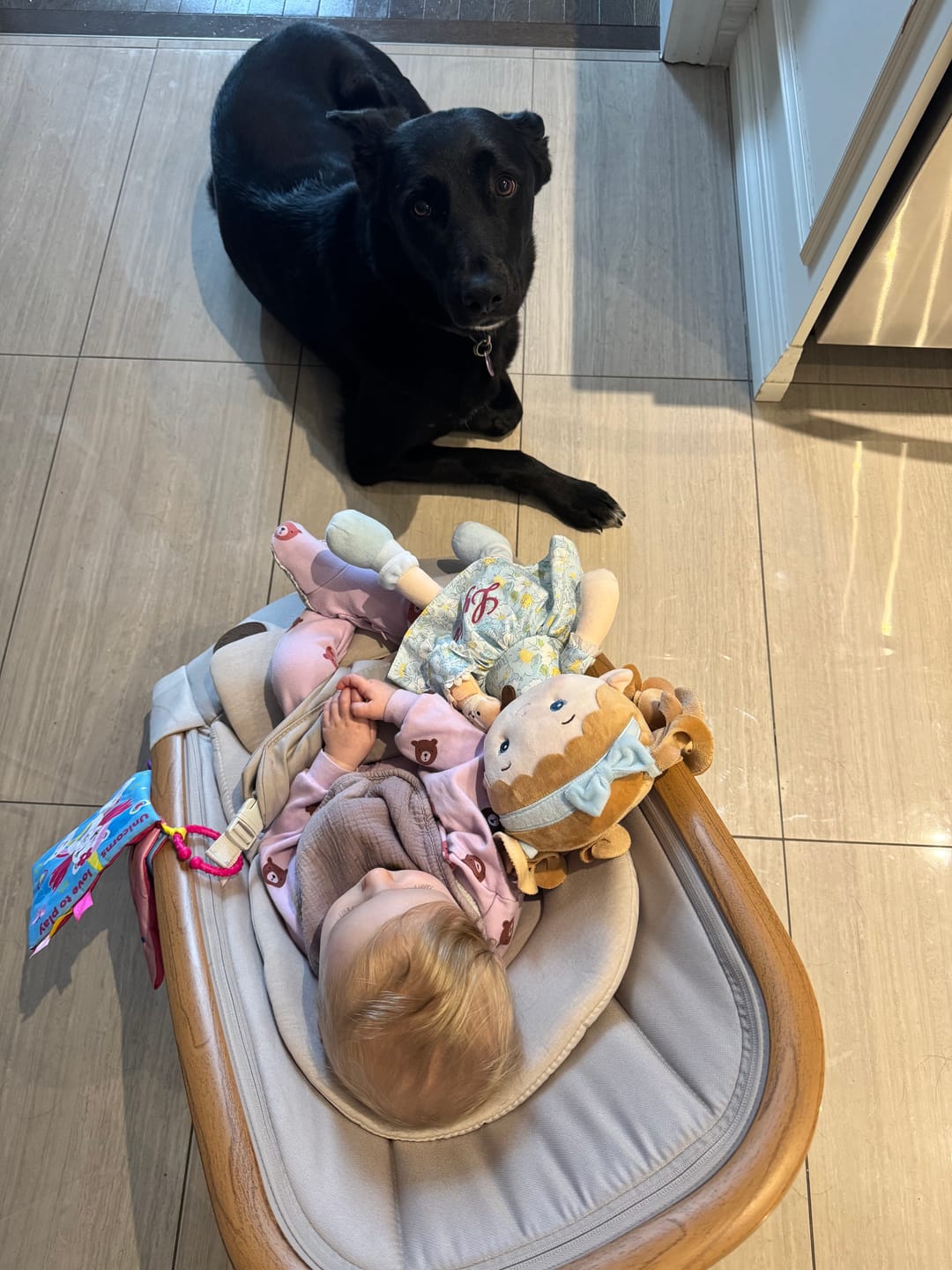 Customer photo review of Personalized Lily Girl & Her Pet