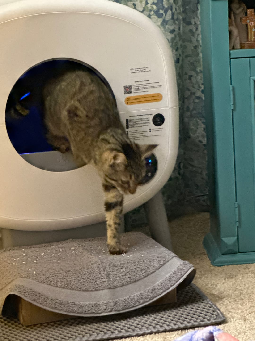 Customer photo review of Cumrige M2 Smart Self-Cleaning Litter Box | 95L Extra-Large Automatic Cat Litter Box