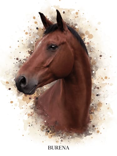 Customer photo review of Waterverf Portret