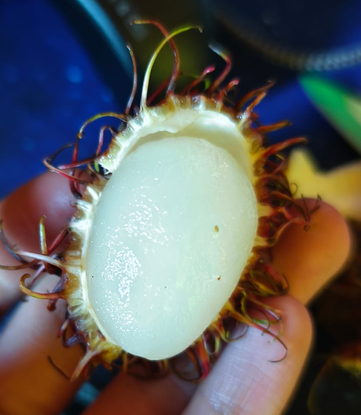 Customer photo review of Rambutan naturbelassen