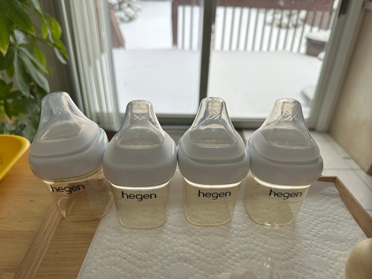 Customer photo review of Hegen First Feeds Bundle (1 to 3 months)