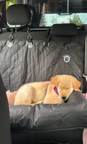 Customer photo review of Car Seat Cover