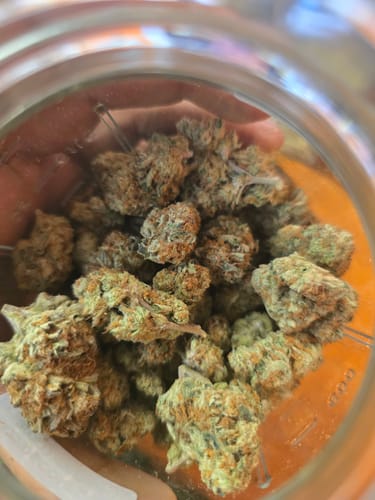 Customer photo review of Bulk Wholesale THCA Pound LB (450g)
