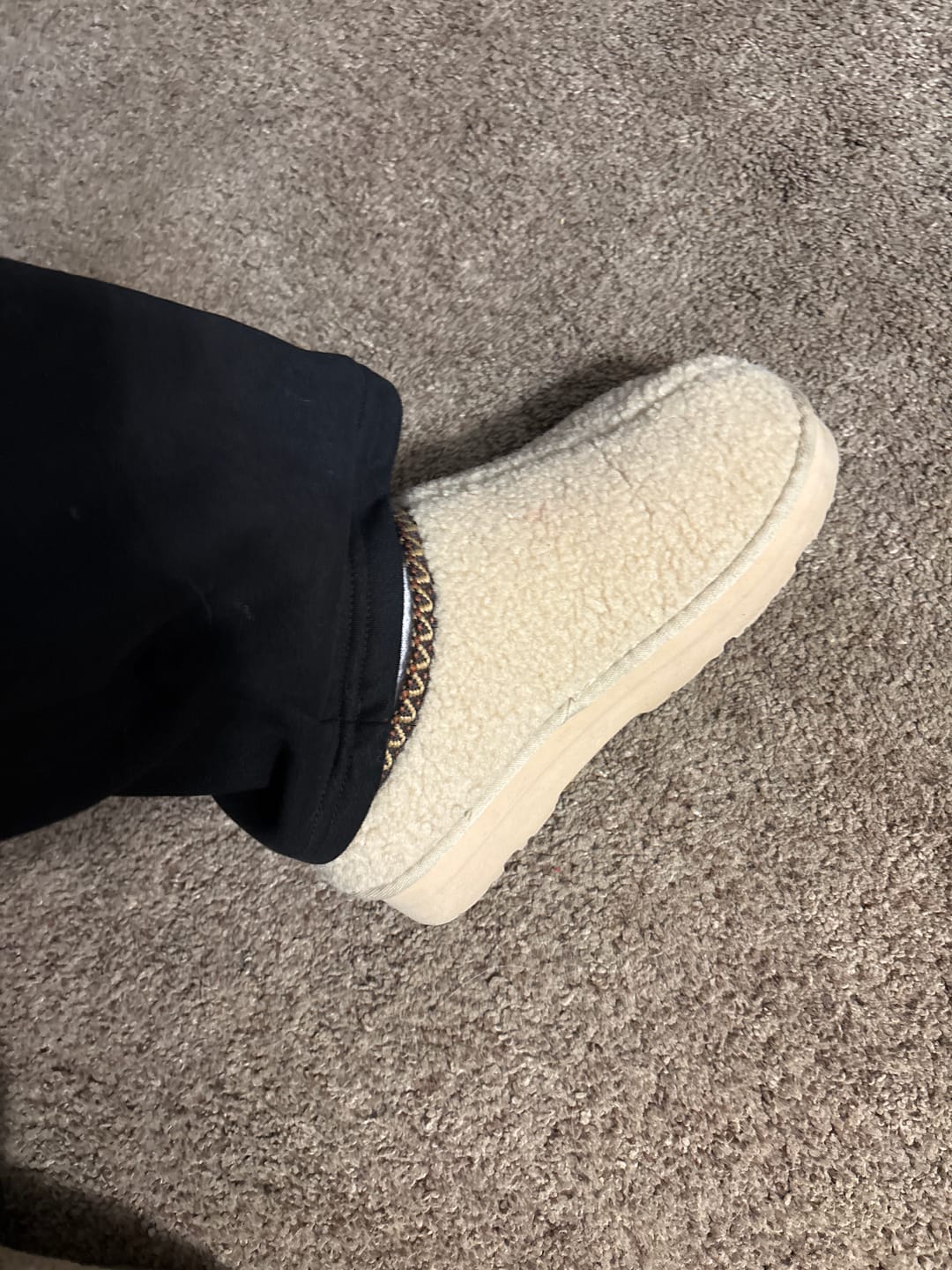 Customer photo review of SNUGGLE MARTIS OAT