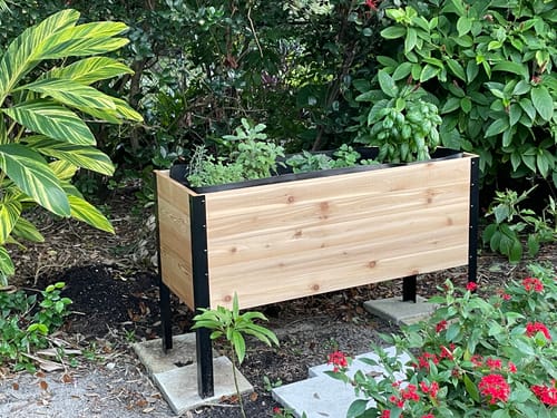 Customer photo review of 18" x 48" Raised Garden Bed - 30" TALL