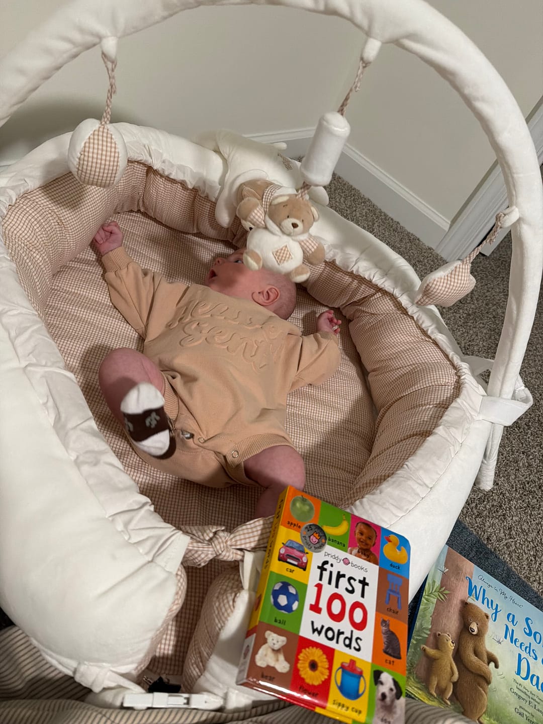 Customer photo review of Multifunction Baby Nest | White & Beige