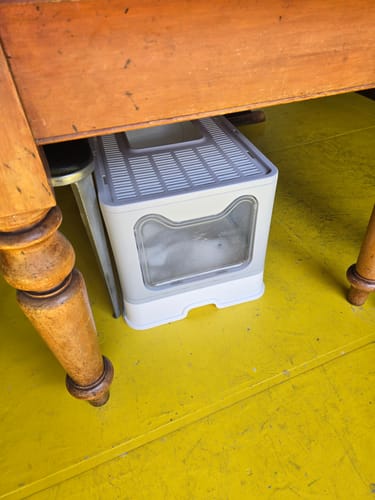 Customer photo review of Fit Litter