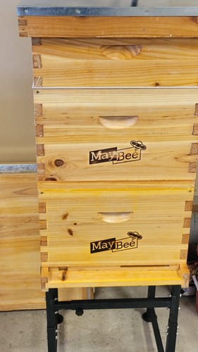 Customer photo review of MayBee Hives Wax-Coated 10 Frame 2 Layer Honey Bee Hives Include 1 Deep Hive Box and 1 Medium Super Bee Box,Suitable for Langstroth Beehive