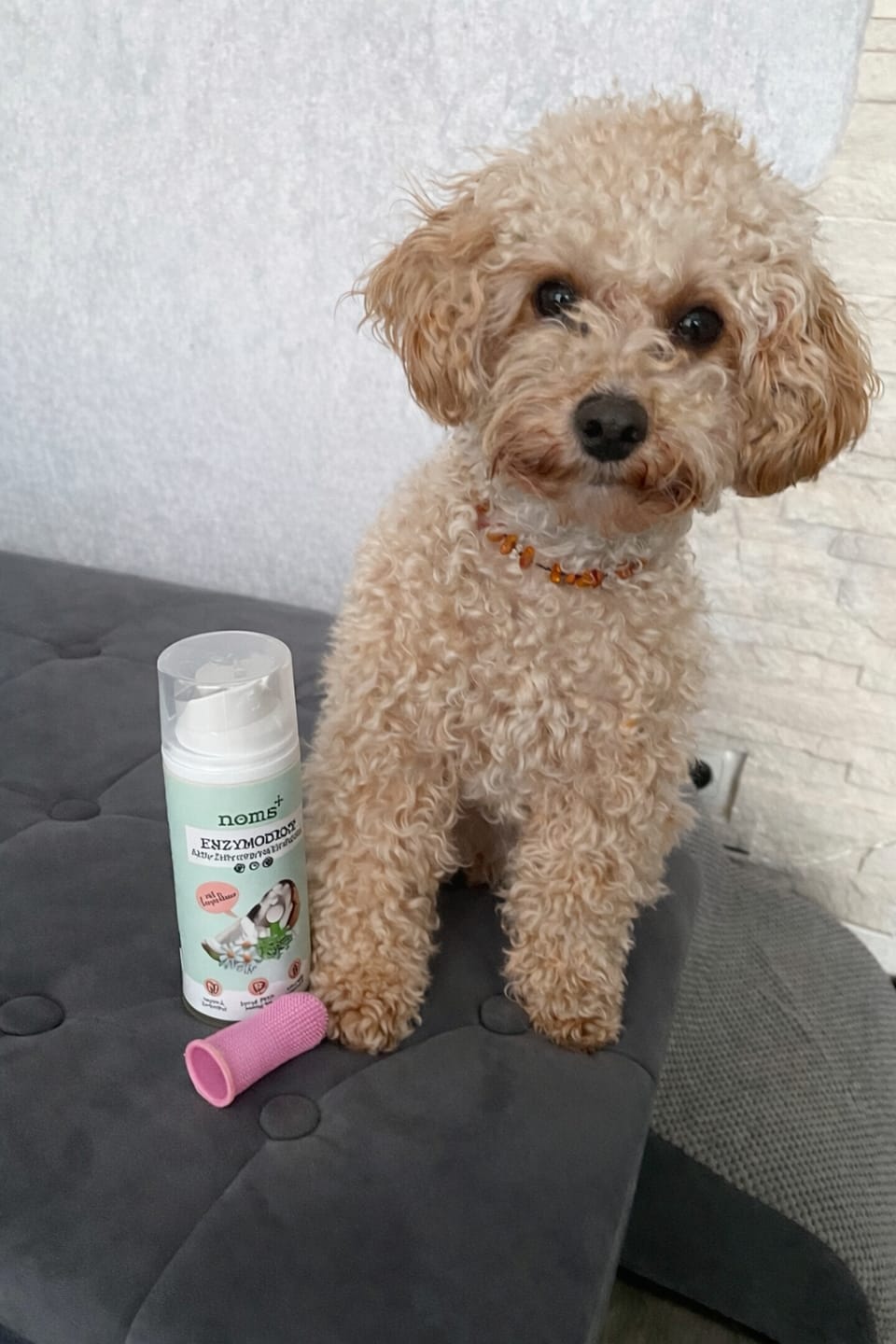 Customer photo review of Enzymodent: Enzymatische Zahnpasta für Hunde mit natürlicher Pflege- und Präventionsformel