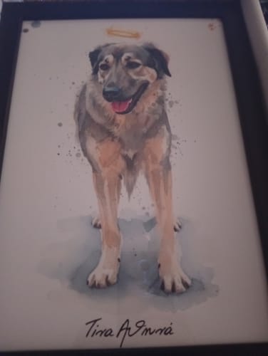 Customer photo review of Πορτραίτο Κατοικίδιου - Νερομπογιά