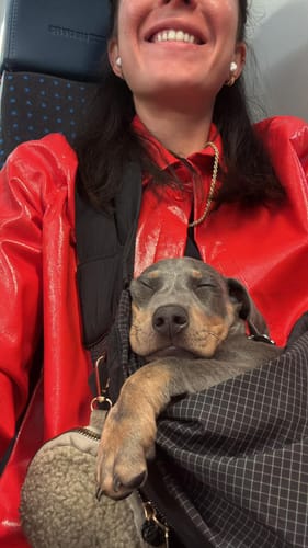 Customer photo review of Sac de transport en bandoulière noir