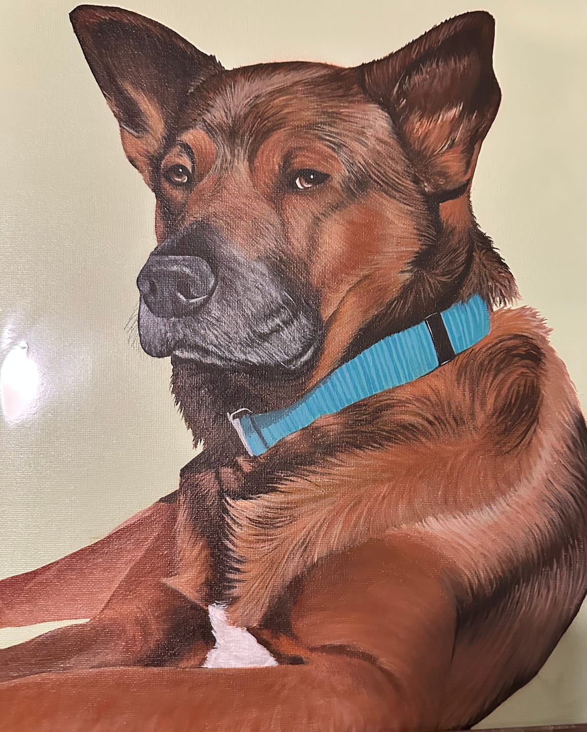 Customer photo review of Custom Pet Painting