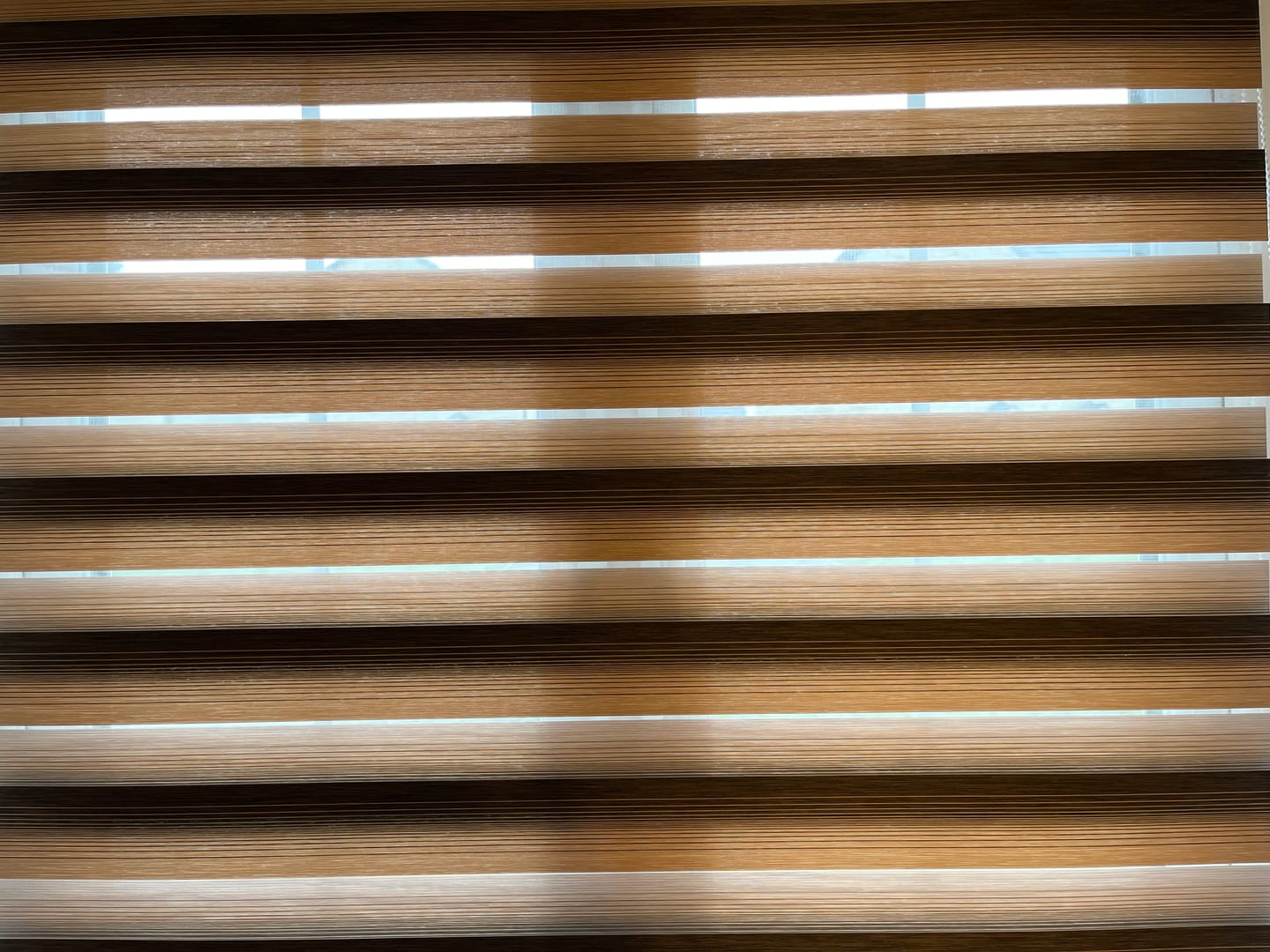Customer photo review of Eclipse Oak Day & Night Blinds
