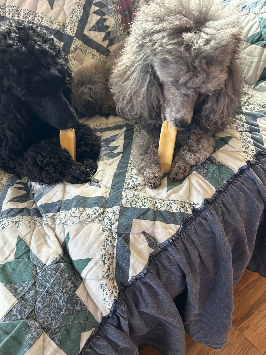 Customer photo review of Himalayan Yak Chew (MEDIUM)