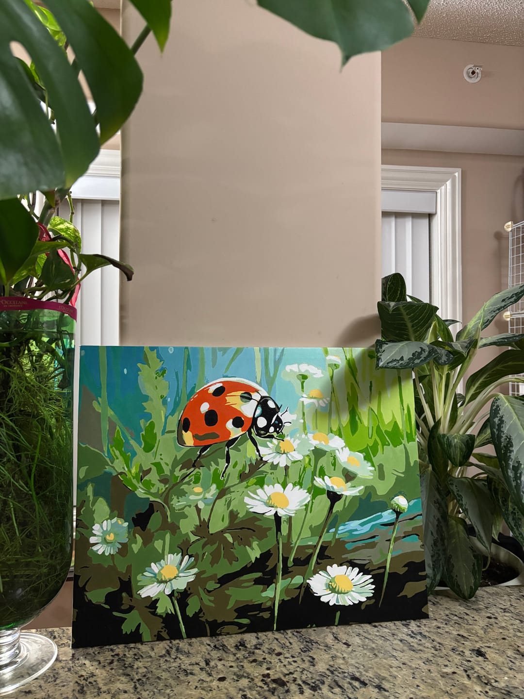 Customer photo review of Ladybug's Haven