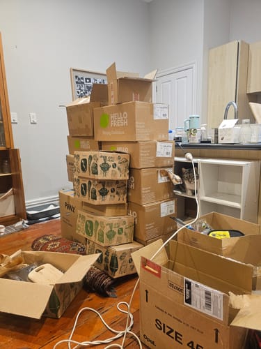 Customer photo review of Fit Litter