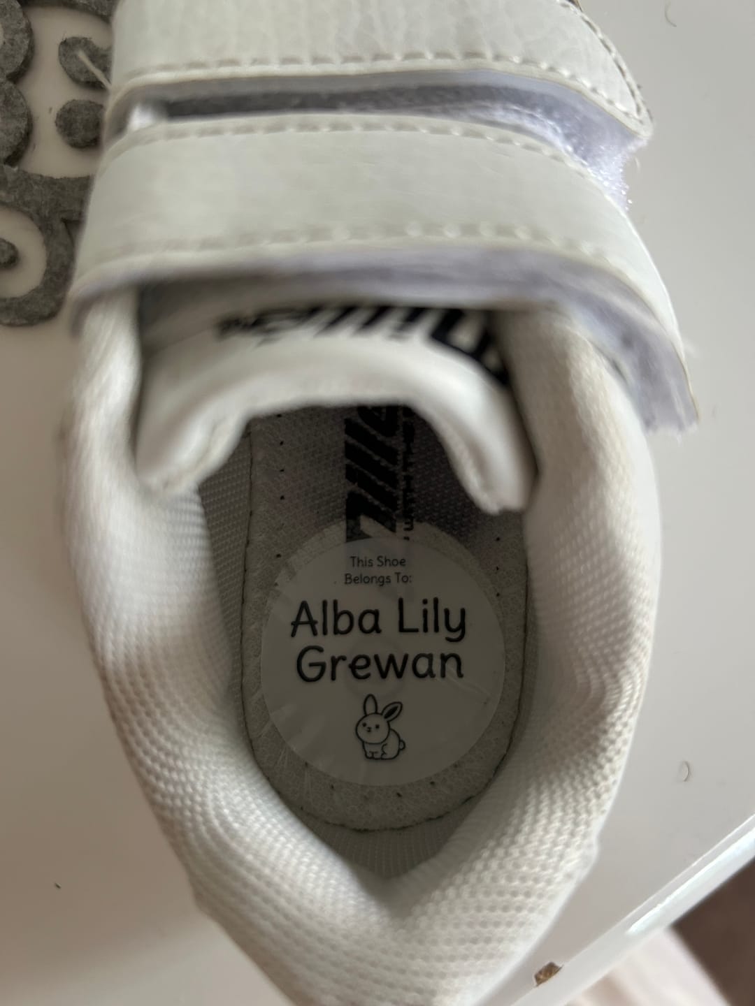 Customer photo review of Shoe Labels
